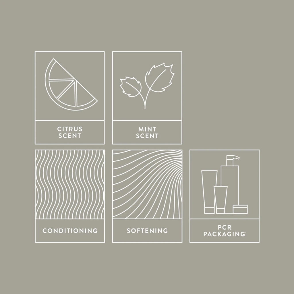 Mitch Double Hitter 2 - in - 1 Shampoo & Conditioner - HauptSacheShop