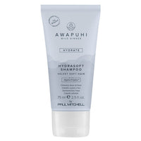Paul Mitchell Awapuhi Wild Ginger HydraSoft Shampoo - HauptSacheShop