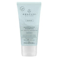 Paul Mitchell Awapuhi Wild Ginger Repair Nourishing Shampoo - HauptSacheShop