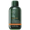Paul Mitchell Tea Tree Special Color Shampoo - HauptSacheShop